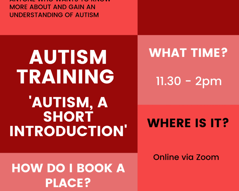 Online Autism Training Flyer
