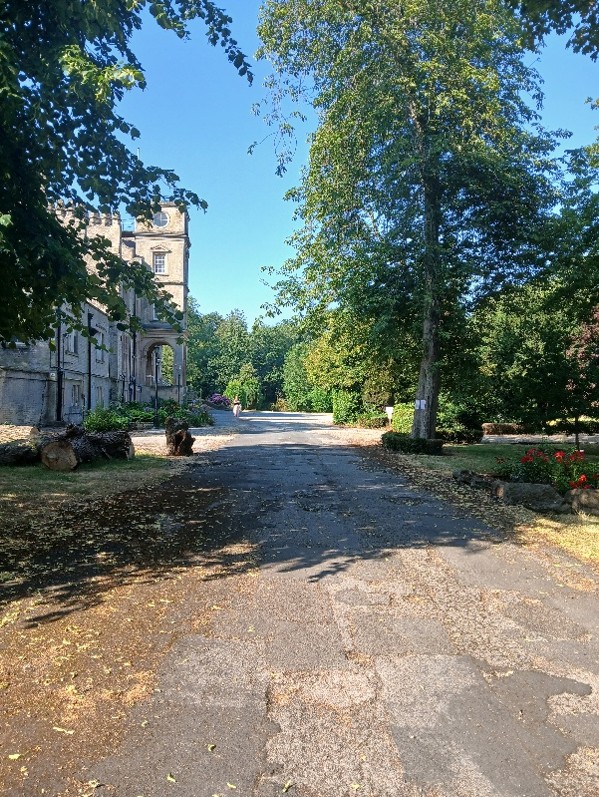 A driveway with trees and a large historic house on the left hand side.