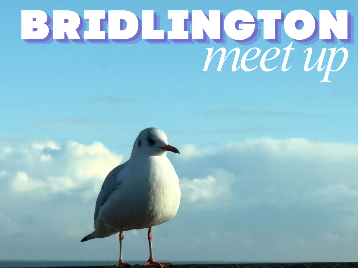 Bridlington Meet up with Seagull